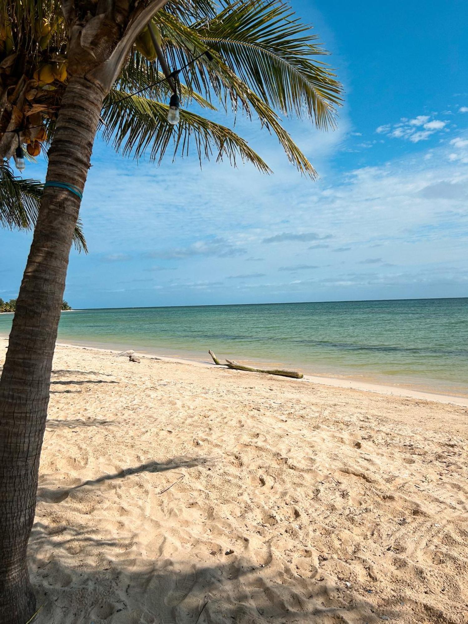Villa Pronoia Casa De Playa à Mahahual Extérieur photo